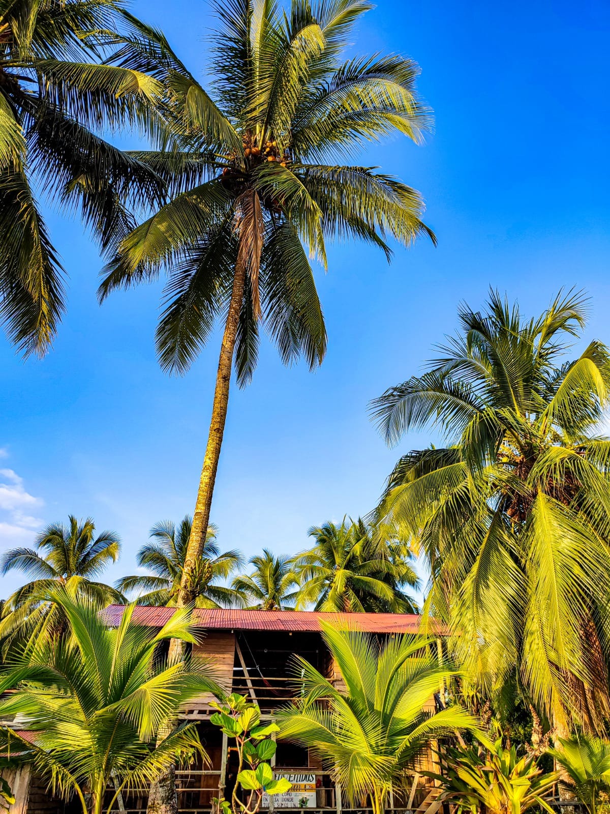 Pasadía Playa Juná